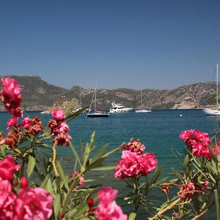 Brand Homes Sogut Sea View Daily Weekly Rentals. Apartament *
